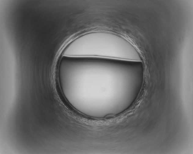 X0000113760007200909230957
