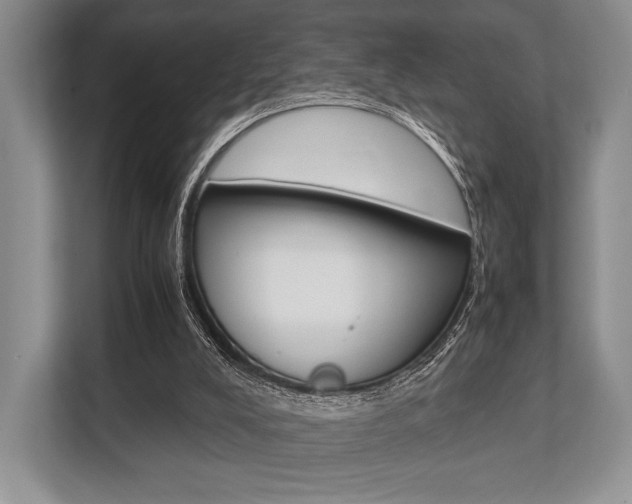 X0000113760008200909230957
