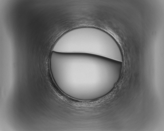X0000113760009200909230957