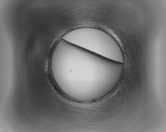 X0000113760010200909230957