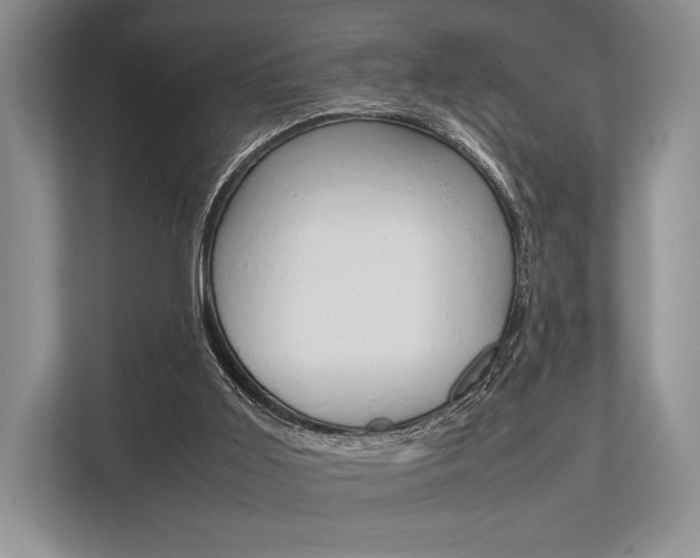 X0000113760011200909230957