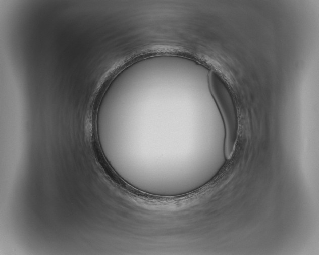 X0000113760015200909230956