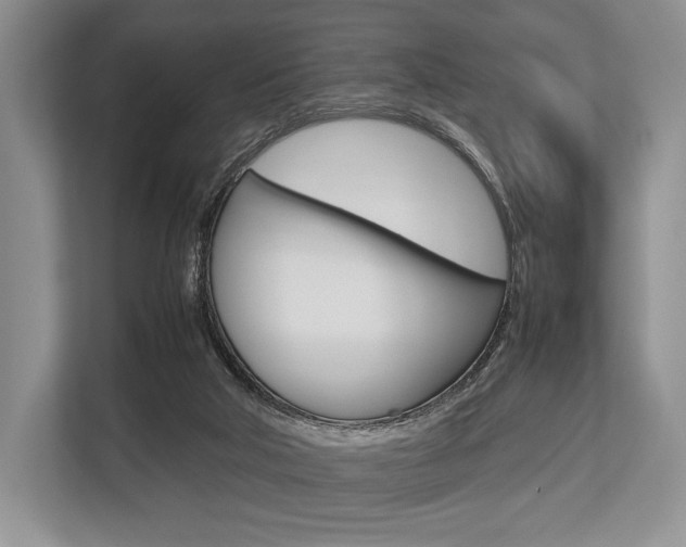 X0000113760018200909230956