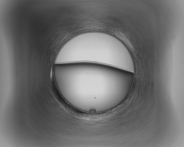 X0000113760021200909230956