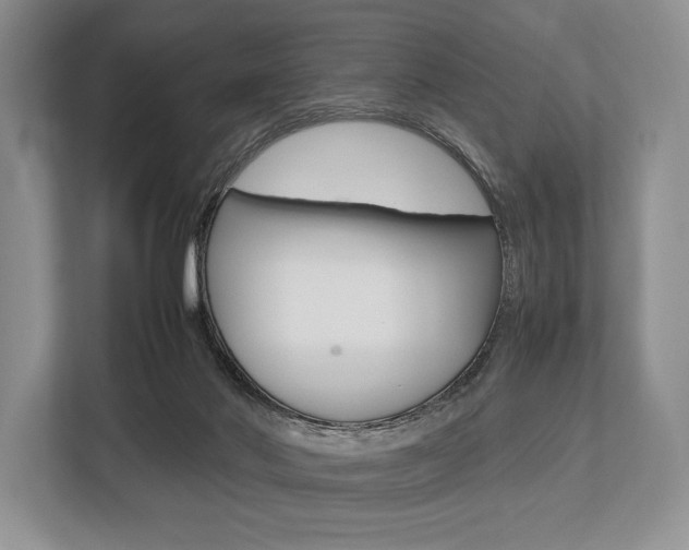 X0000113760022200909230956
