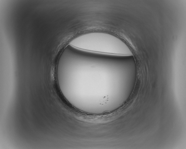 X0000113760023200909230956