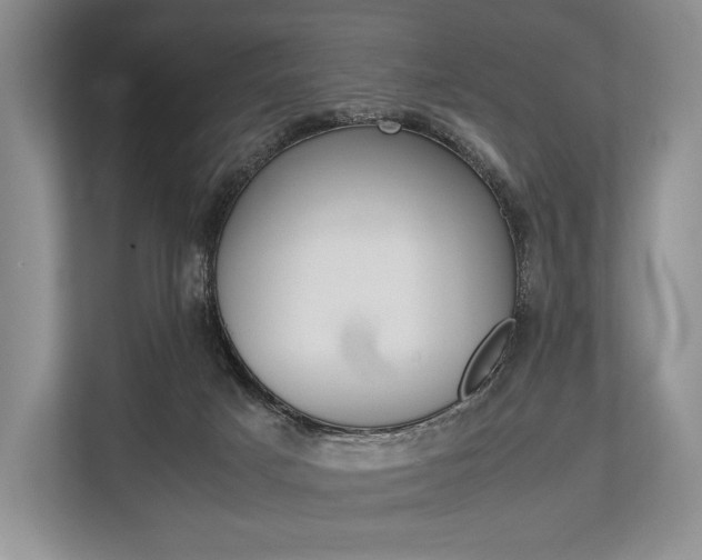 X0000113760025200909230956