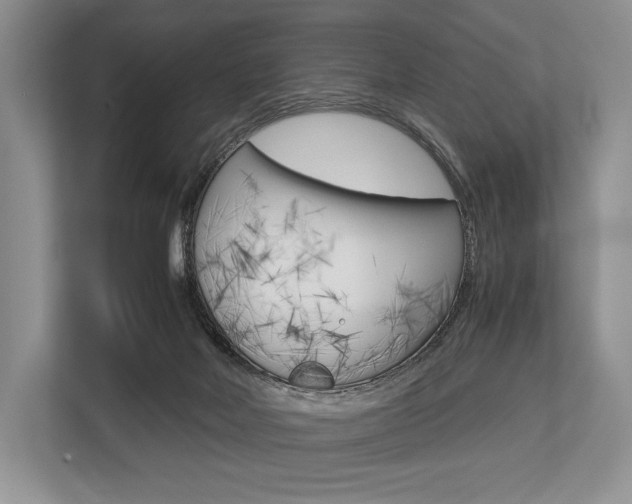 X0000113760026200909230956