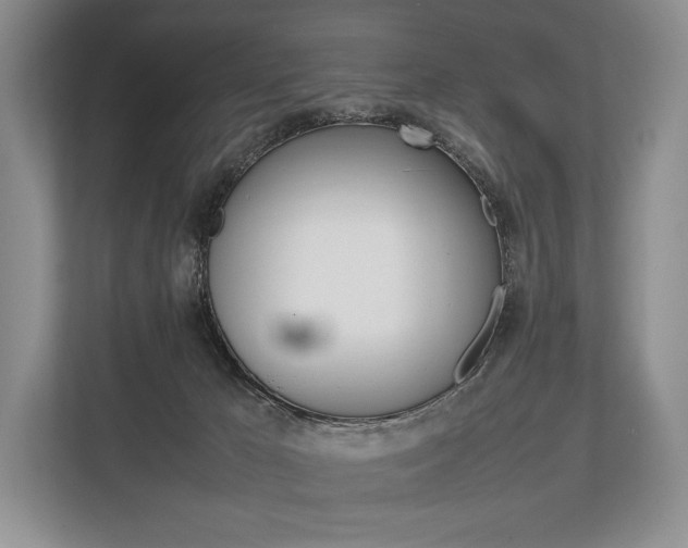 X0000113760029200909230956