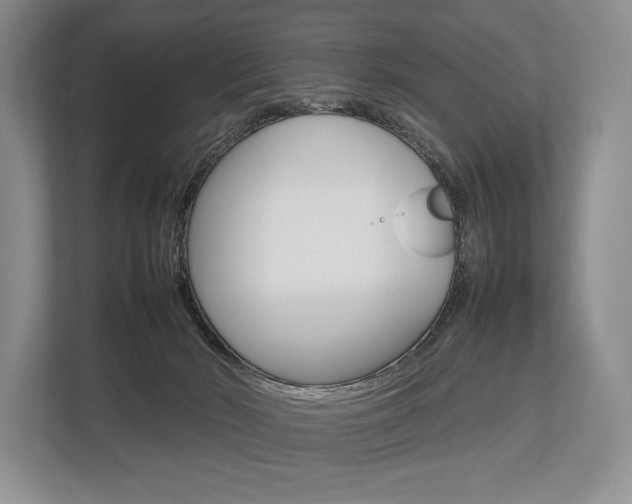 X0000113760030200909230956