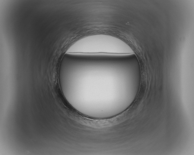 X0000113760031200909230956