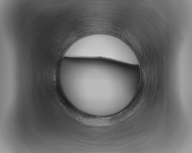 X0000113760032200909230956