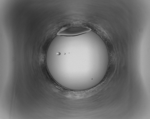 X0000113760033200909230956