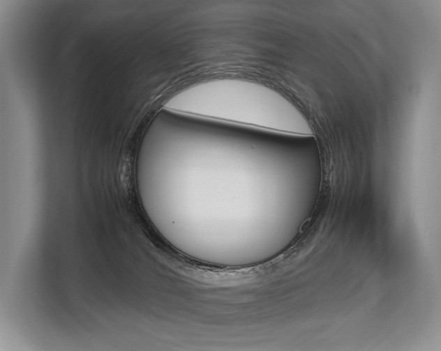 X0000113760036200909230956