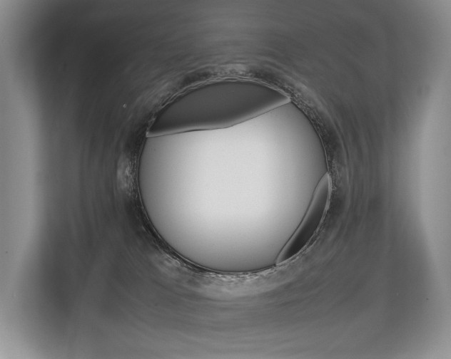 X0000113760037200909230956