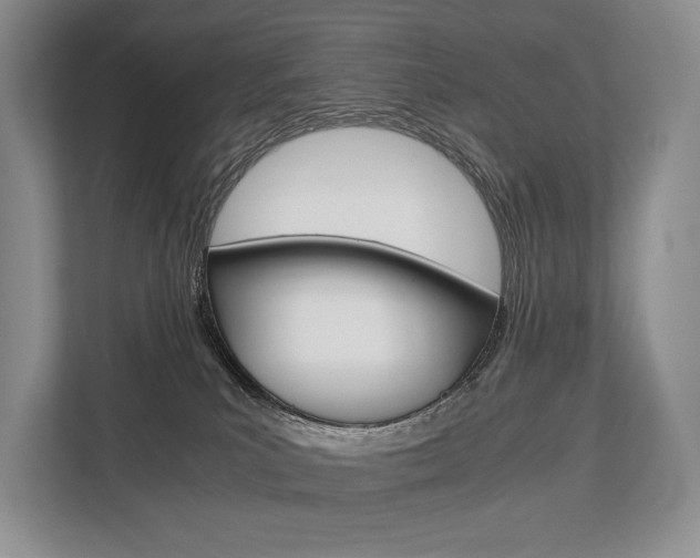 X0000113760039200909230956
