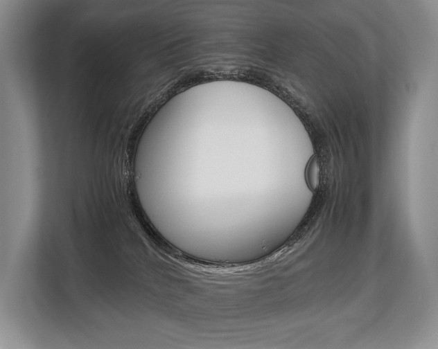 X0000113760040200909230956