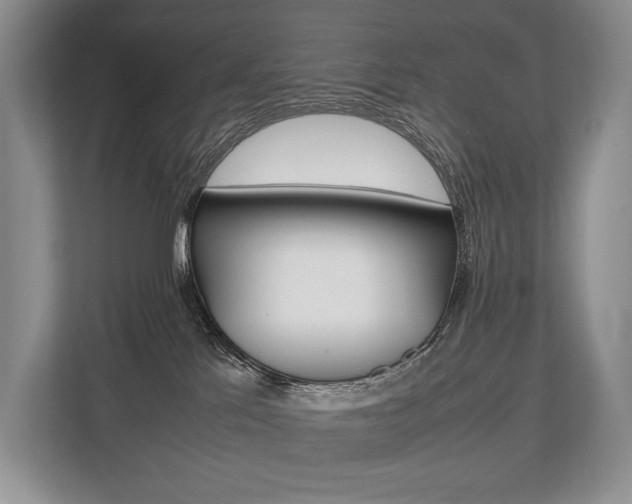 X0000113760041200909230956