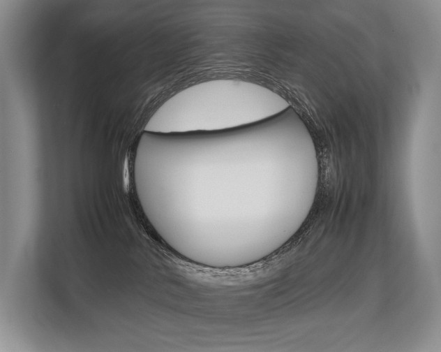 X0000113760042200909230956