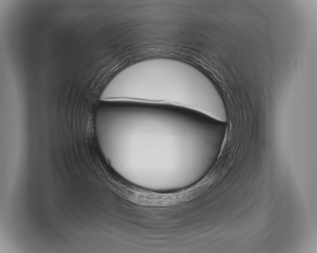 X0000113760048200909230956