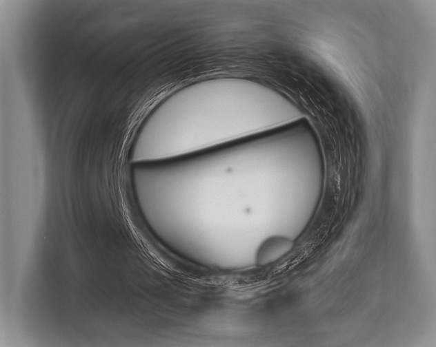 X0000113760049200909230955