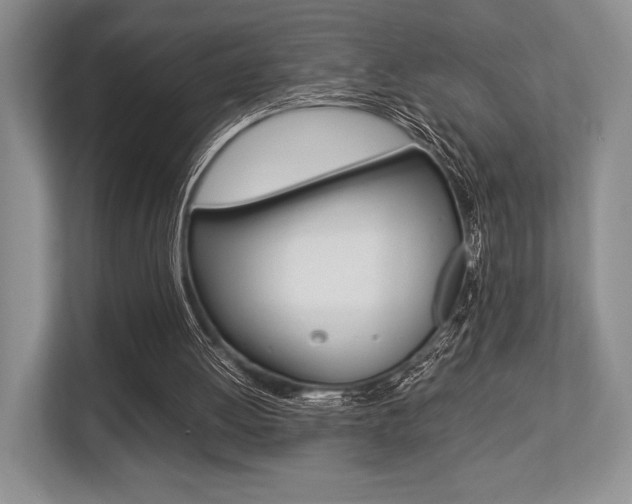 X0000113760052200909230955