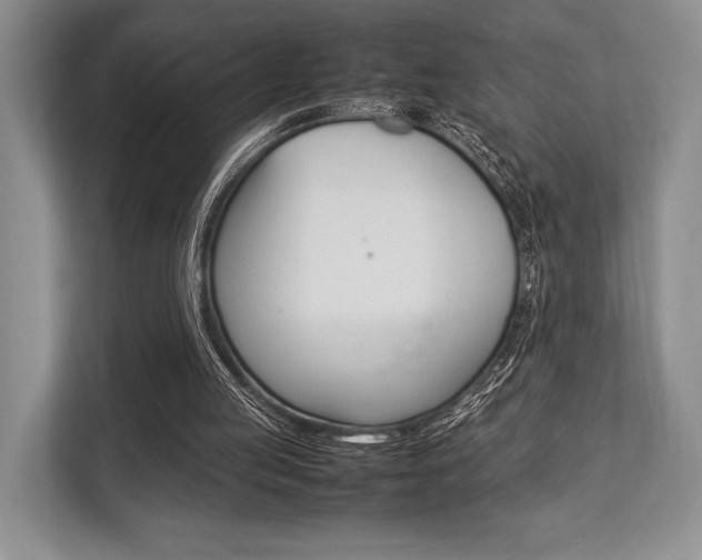 X0000113760053200909230955