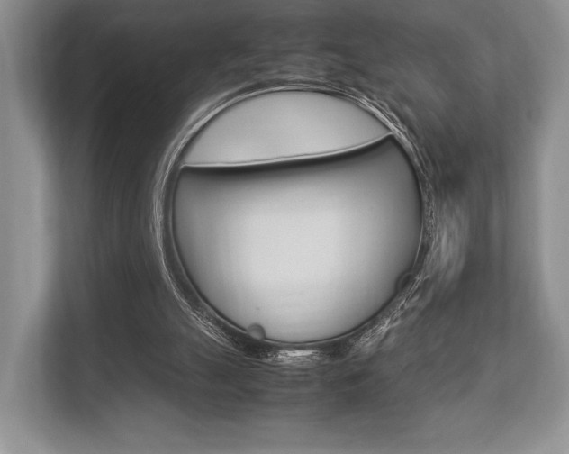 X0000113760055200909230956