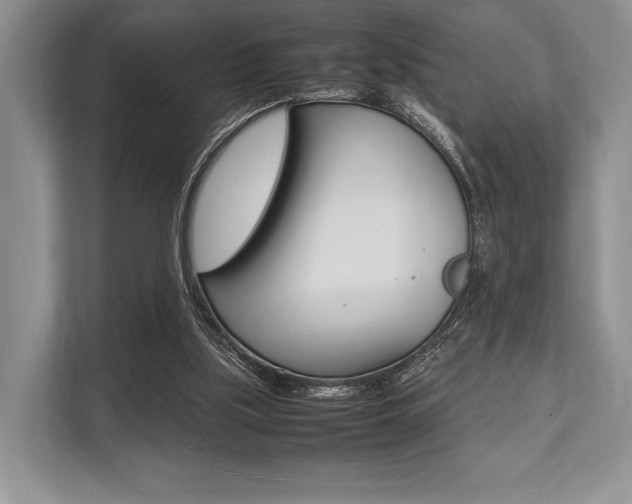X0000113760059200909230956