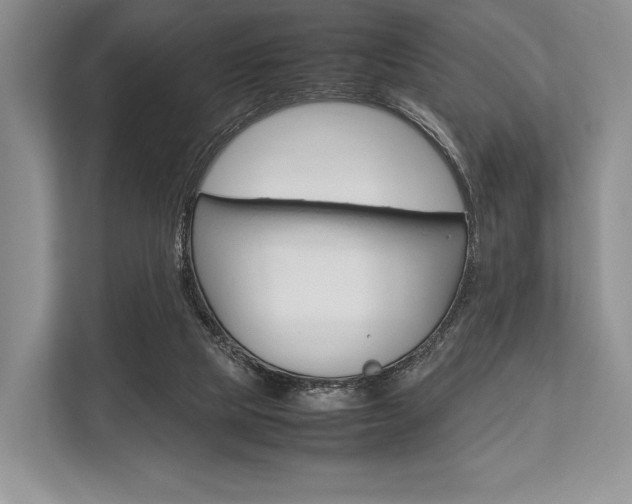 X0000113760065200909230956