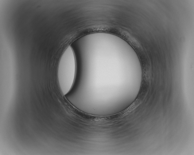 X0000113760070200909230956