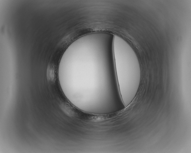 X0000113760074200909230956