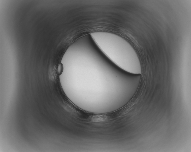 X0000113760077200909230956