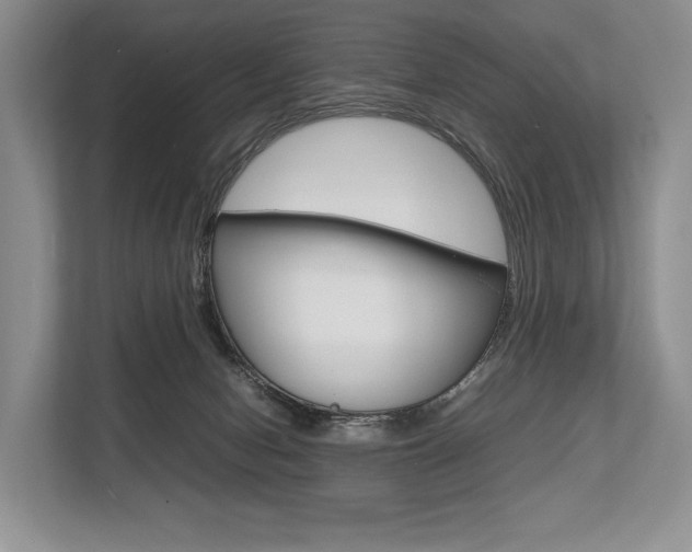 X0000113760078200909230956