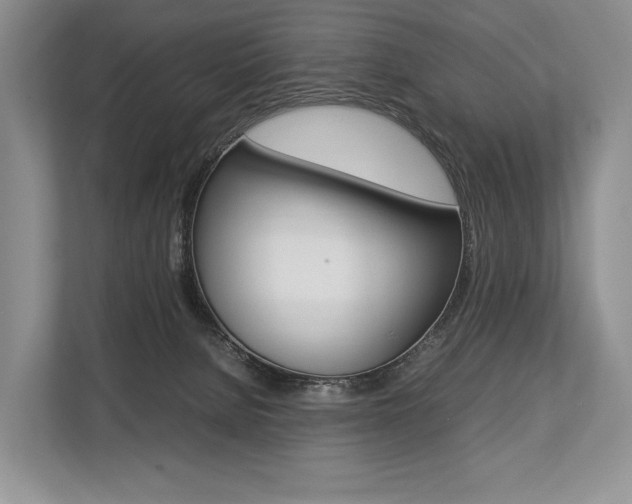 X0000113760080200909230956