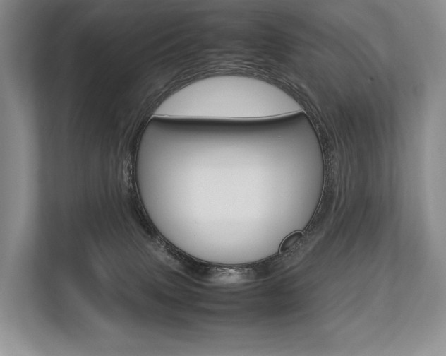 X0000113760083200909230956