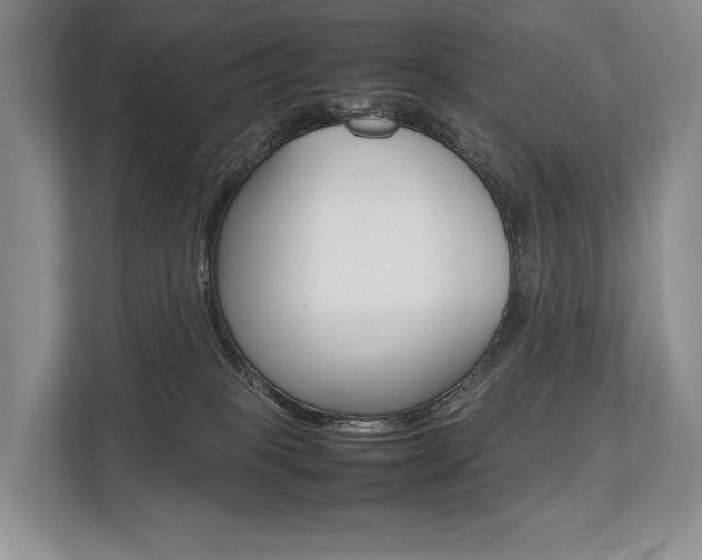 X0000113760085200909230956