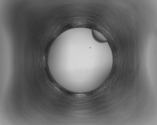 X0000113760087200909230956