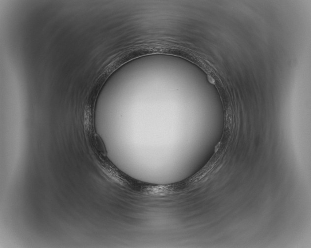 X0000113760092200909230956