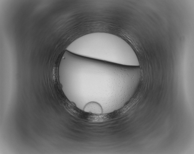 X0000113760093200909230956