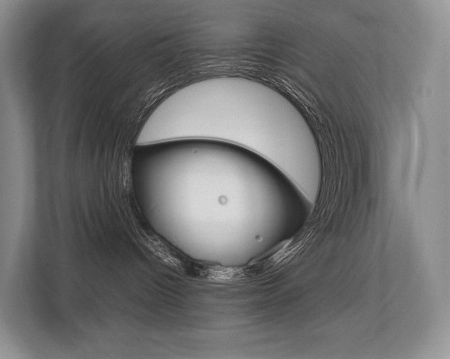 X0000113760096200909230956