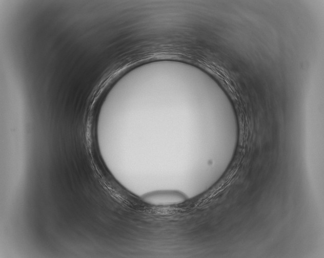 X0000113760098200909230955