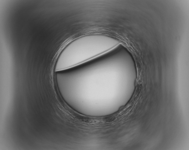 X0000113760099200909230955