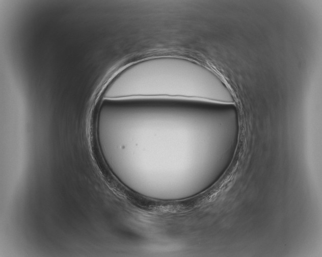 X0000113760103200909230955