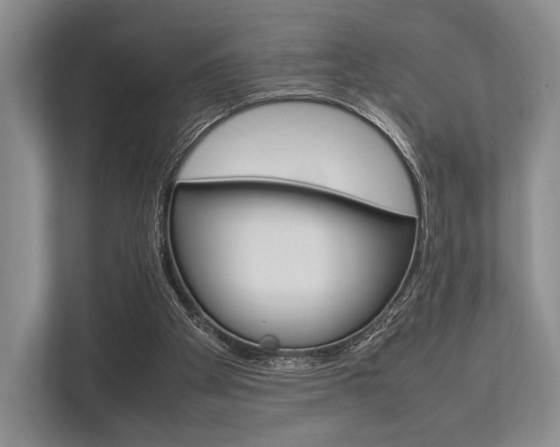 X0000113760105200909230955
