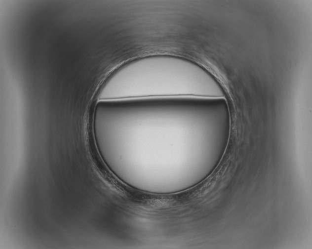 X0000113760107200909230955