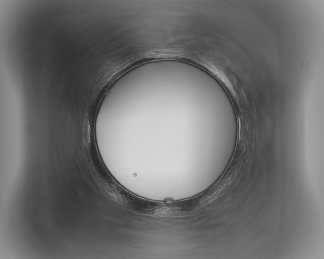 X0000113760109200909230955