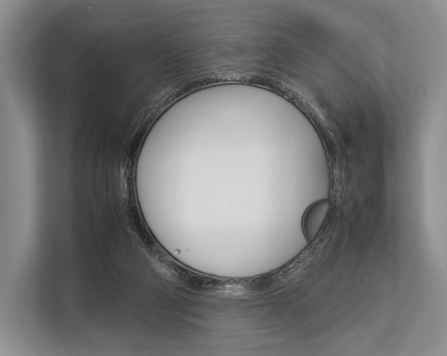 X0000113760114200909230955