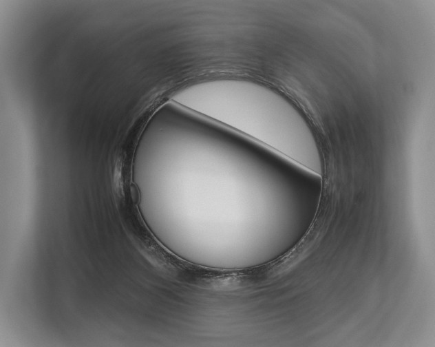 X0000113760116200909230955