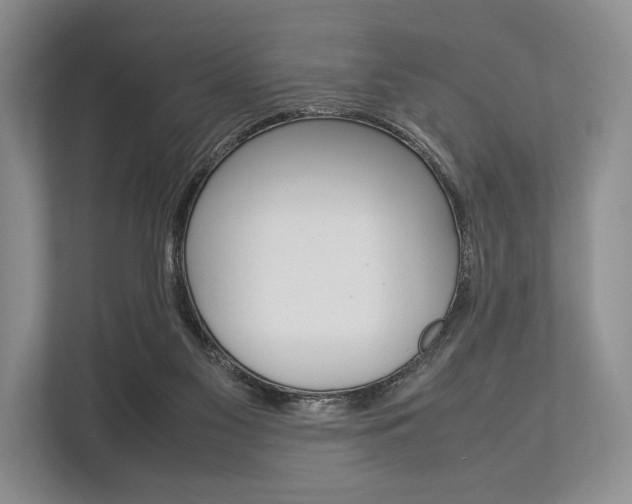 X0000113760117200909230955